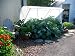 Solexx Deluxe Cold Greenhouse Frame 3.5mm