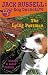 Books : The Lying Postman (Jack Russell: Dog Detective) (Jack Russell: Dog Detective)