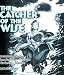 The Catcher of the Wise: Poetic Interpretations from the Hebrew Scriptures aka the Old Testament Image