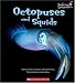 Search : Octopus and Squid (Undersea Encounters)