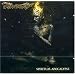 2007 - Metal music, the year so far, in review - Part 2
