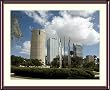 Tampa Skyline Photograph - Beautiful approx. 24"x28" Framed & Matted - 1 7/8" Walnut Toned Wood Frame - Photographic Print by Carol M. Highsmith