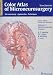 Color Atlas of Microneurosurgery: Microanatomy, Approaches and Techniques