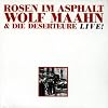 Rosen Im Asphalt