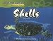 Books : Shells (Reading Essentials Discovering Science)
