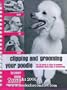 Clipping and Grooming Your Poodle: Step by Step