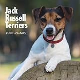 Jack Russell Terriers 2009 Wall Calendar