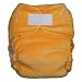 Thirsties Fab Fitted Cloth Diaper - Melon, Medium
