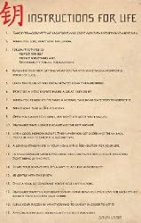 Dalai Lama (Instructions For Life) Art Poster Print - 24" X 36"