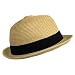 51LTsIoHOUL. AA75  BEIGE LIGHTWEIGHT STRAW STINGY BRIM FEDORA HAT