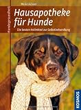 Hausapotheke für Hunde: Die besten Heilmittel zur Selbstbehandlung