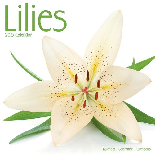 Lilies Calendar - 2015 Wall calendars - Garden Calendars - Flower Calendar - Monthly Wall Calendar by Avonside