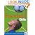 Football Skills