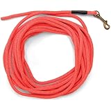 SportDOG Orange Check Cord - 30-Foot