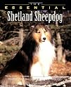 The Essential Shetland Sheepdog (Essential Guide)