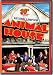 DVD : National Lampoon's Animal House