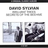 Classic Albums (2in1)von "David Sylvian"