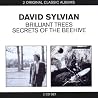 Image of album by David Sylvian