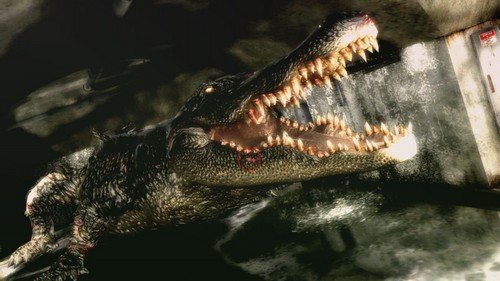 Resident Evil: The Darkside Chronicles image