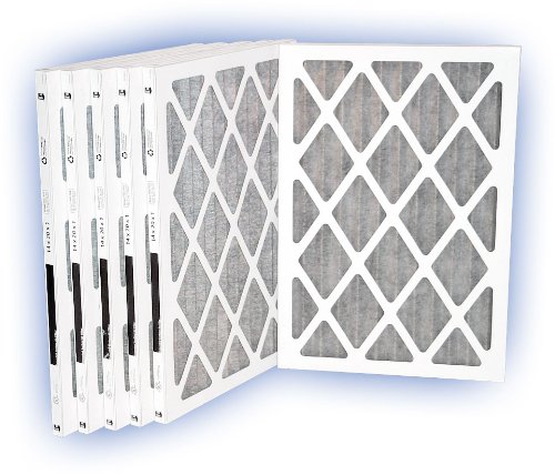 Fresh Air Activated Carbon Filter 12x20x1 MERV 8 6-Pack