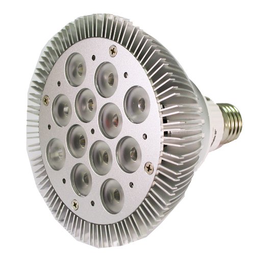 LED - 1020 Lumens - 12 Watt - 12 LED-DIMMABLE-PAR38 Bulb - 70+ Watt Replacement-White (5300 Kelvin)