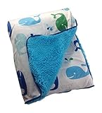 Little Bedding By NoJo Whale Velboa Blanket, Blue by Little Bedding [並行輸入品]