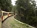 Mountain Railway Train to Alishan, Alishan National Forest Recreation Area, Taiwan Photographic Poster Print by Christian Kober, 16x12