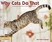 Why Cats Do That 2010 Wall Calendar