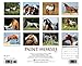 Paint Horses 2015 Wall Calendar