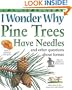 I Wonder Why Pine Trees Have Needles: and Other Questions About Forests