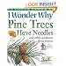 I Wonder Why Pine Trees Have Needles: and Other Questions About Forests