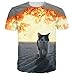 RAISEVERN Unisex 3d Explosion Cat Printed Hip Hop T-Shirts,Explosion Cat,Medium