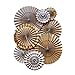 My Mind's Eye Kraft Style Party Fans, 8 Count, Brown and White