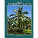 Betrock's Landscape Palms