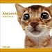   - Abyssinian The Cat 2009 Wall Calendar