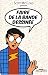 Faire de la bande dessinée (Broché)