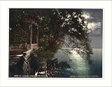 Abbazia moonlight near the baths Istria Austro-Hungary, c. 1890s, M-UNF