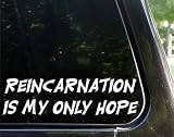 REINCARNATION is my only hope - funny decal / sticker