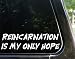 REINCARNATION is my only hope - funny decal / sticker