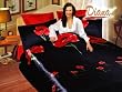Diana Weasel Black - Duvet Cover Bed in Bag - Queen Bedding Set - DI284Q
