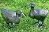 Eigenschaften B&B  / Ente Gartentier Teichdeko DUCK 2er Set Kunstharz 38 cm