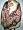 Brown Jamawar Pashmina Shawl,wrap Throw Reversible Image #4