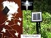 TEKTRUM 52 FT-LONG 100 WHITE DRAGONFLY TWO-IN-ONE SOLAR STRING FAIRY LIGHTS OUTDOOR
