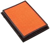 INTERFIL Air Filter