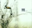 Liquid