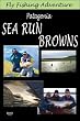 Fly Fishing Adventure, Patagonia Sea Run Browns