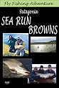 Fly Fishing Adventure, Patagonia Sea Run Browns