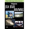 Fly Fishing Adventure, Patagonia Sea Run Browns by