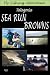 Fly Fishing Adventure, Patagonia Sea Run Browns