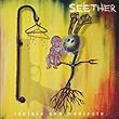 Isolate And Medicate [Deluxe Edition][Edited] by Seether (2014-07-01)【並行輸入品】